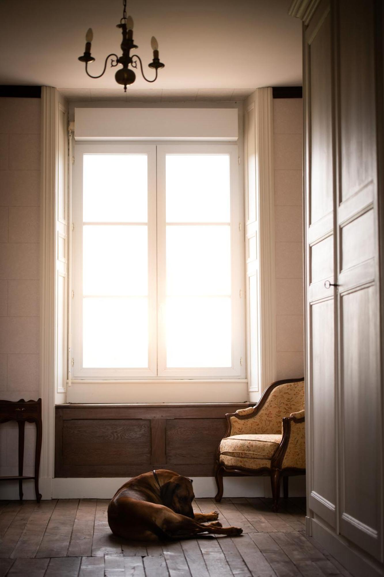 Bed and Breakfast Domaine De La Briouse Sanxay Exteriér fotografie