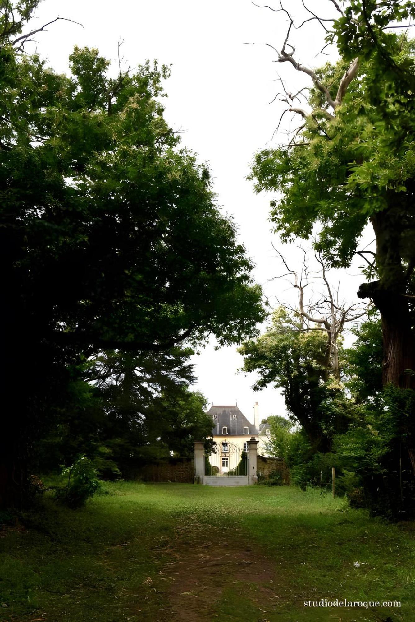 Bed and Breakfast Domaine De La Briouse Sanxay Exteriér fotografie