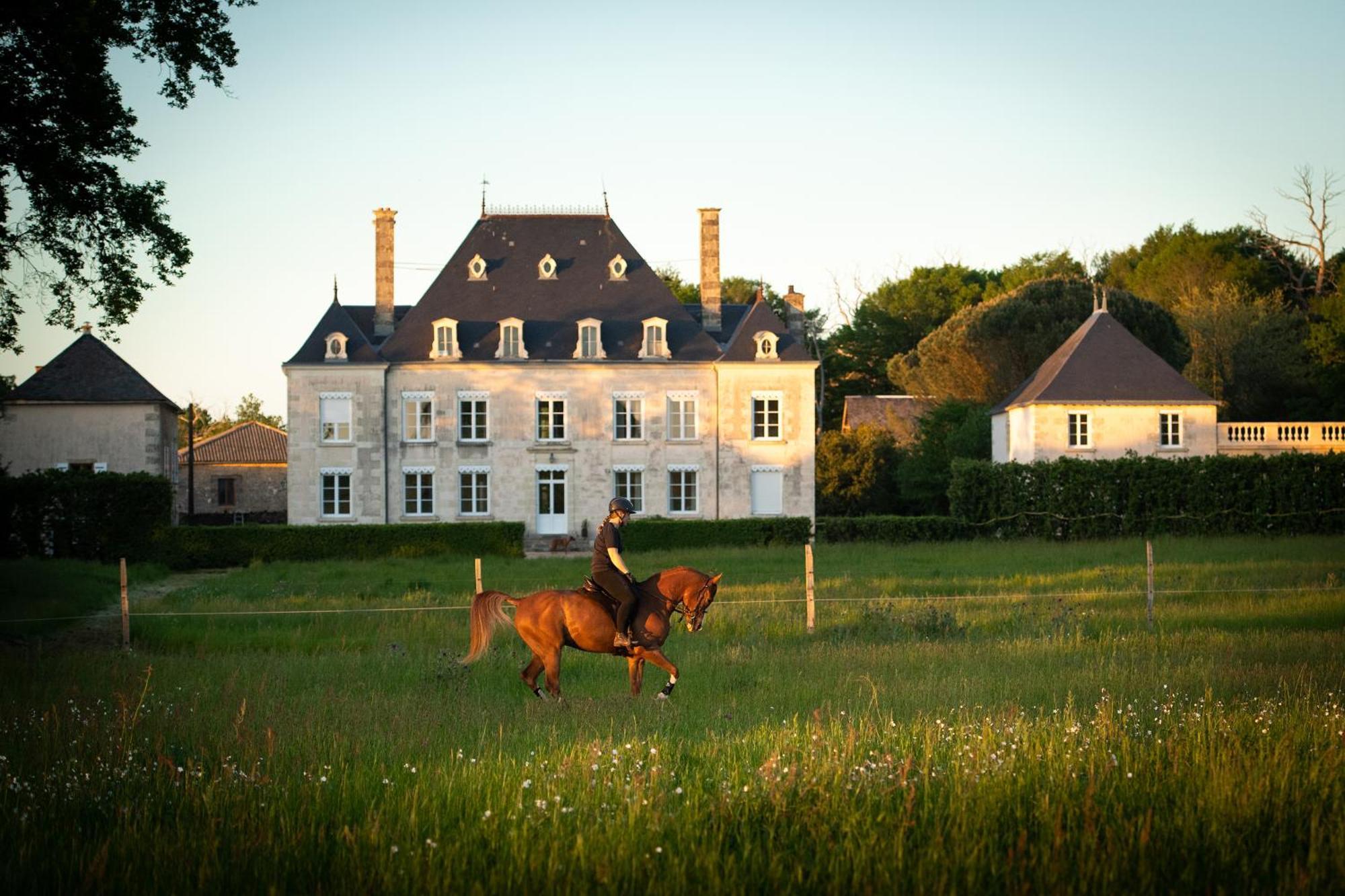 Bed and Breakfast Domaine De La Briouse Sanxay Exteriér fotografie